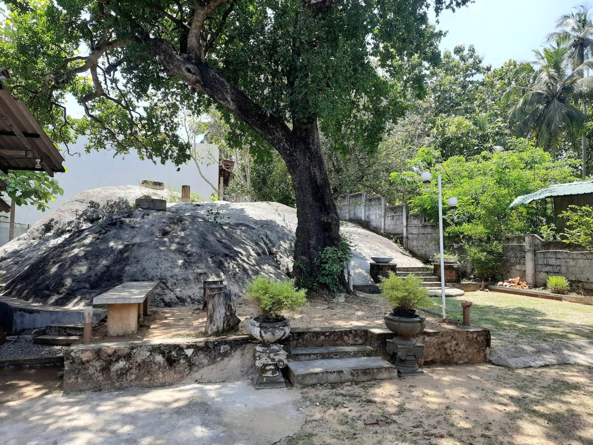 אנוראדפורה Selagala Resort מראה חיצוני תמונה